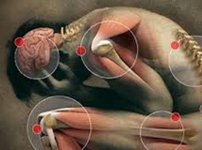 Clínica Biodental Blanes Institut Odontológic