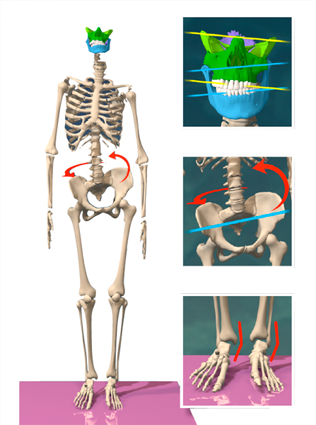 Posturología